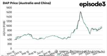 An update on DAP and fertiliser as their prices tend to follow each other