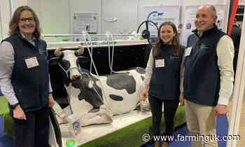 Dairy farmer launches 'CowRecovery' to improve 'down' cow welfare