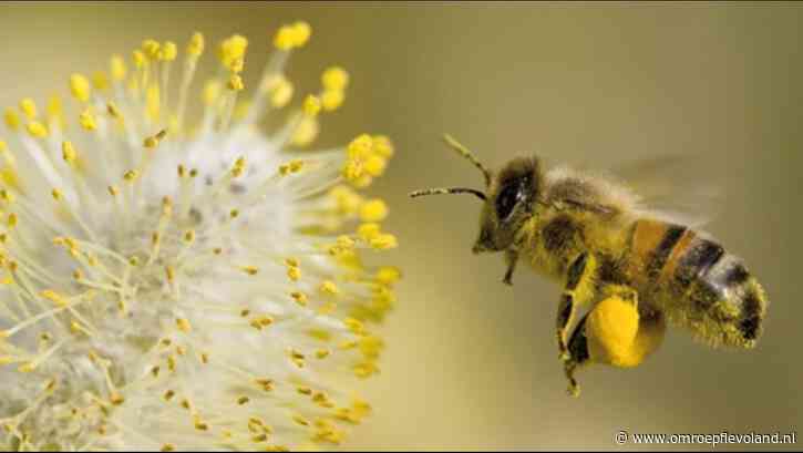Noordoostpolder - Noordoostpolder wil meer ruimte voor natuur: bomen, bloemen en verbindingszones