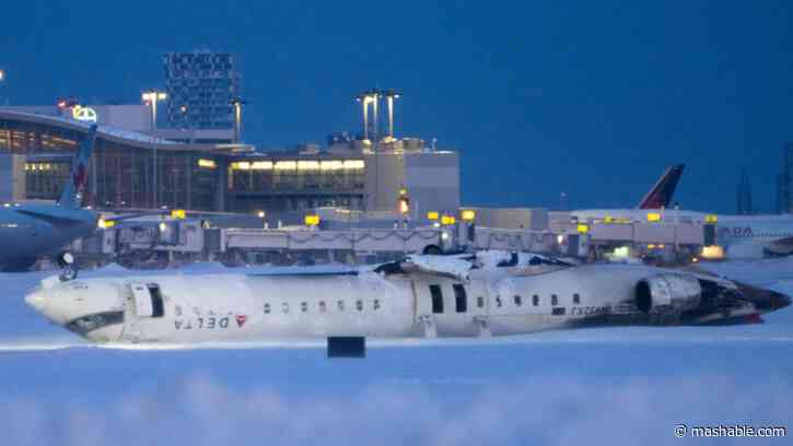 Are you scared to fly? The internet is, too.