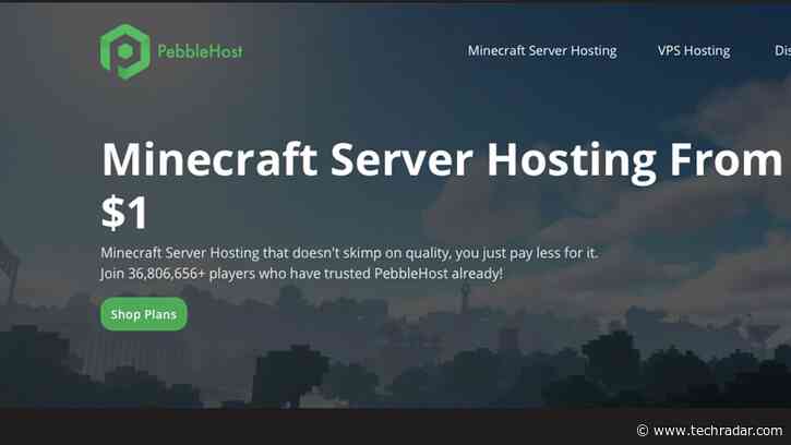 PebbleHost review