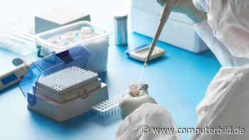 Ancient Origins: MyHeritage verfolgt DNA-Spuren bis in die Jungsteinzeit