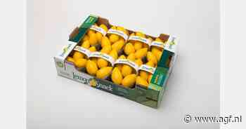 "Zweedse influencer maakte de Lemon Snack groot in Scandinavië"