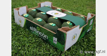 Canarische avocado dicht bij BGA-erkenning