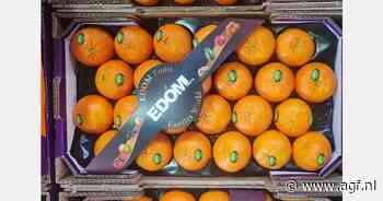Israël: 30% minder Ori-mandarijnen