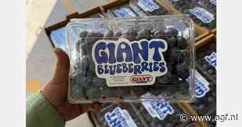 Jumbo blauwe bessen met opvallend etiketontwerp