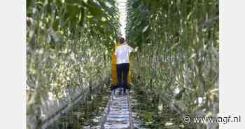 "Zorgwekkende toename psychisch verzuim in agrarische en groene sector"