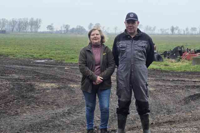 Nieuwe toeristische verbindingsweg blijft voor discussie zorgen: “Er werd een kunstmatig probleem gecreëerd, die baan is totaal overbodig”