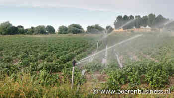 Aardappelopbrengst Spanje laagste in jaren