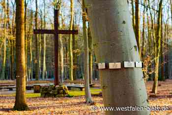 Stadt verdient bei Bestattungen im Ruhewald Hollwinkel mit