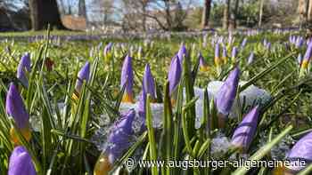 Wetterumschwung in Bayern – kommt jetzt der Frühling?
