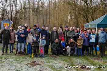 Medewerkers van consultancybedrijf planten duizend bomen in vallei van Palitsebeek: “Hands-on bijdragen aan groenere toekomst”