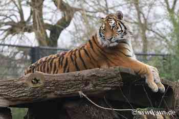 Eintritt an der Zookasse steigt auf bis zu 27,90 Euro