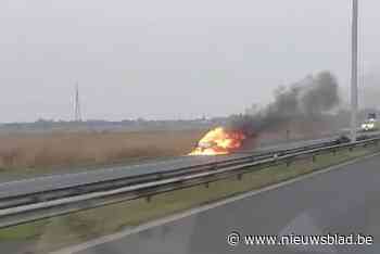 Bestuurder ziet wagen in vlammen opgaan op E40: “Duurde even om brand onder controle te krijgen”