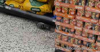 Pigeon spotted eating in Dagenham Asda has 'completely put off' customer