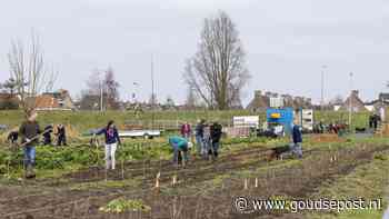Stadsakker Gouda organiseert meewerkdag: ‘Leerzaam, leuk en lekker buiten’
