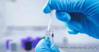 'My aunt gave me a DNA test for Christmas – I wish I'd never taken it'