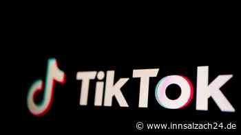 Nach X, Facebook und Instagram: Auch TikTok feuert jetzt seine Inhalts-Moderatoren