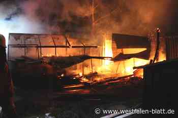 Brand in Minden: 40 Vögel verenden in den Flammen