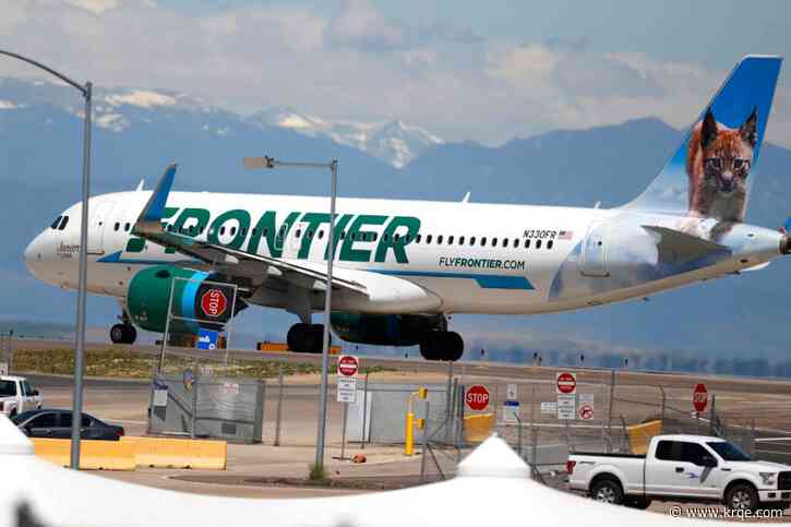 Navy veteran's service dogs denied access on plane in Denver