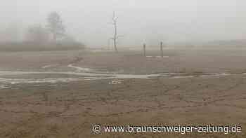 An diesem trostlosen Ort im Harz soll wieder Leben einkehren