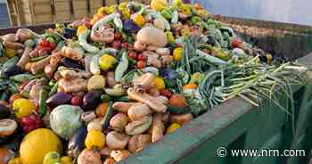 Waste Not, Want Not: How restaurants are tackling food waste