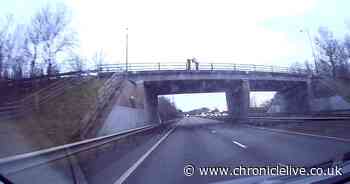 Northumberland woman left shaken after traffic cone thrown from overpass onto A69 in Newcastle