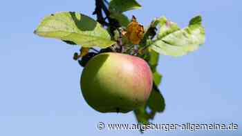 Wird in Bayern das Geld für den Naturschutz knapp?