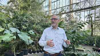 Hamburgs neue Tropenhäuser: Erste Pflanzen sind schon umgezogen