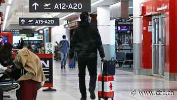 Travel agencies say some Canadians are boycotting U.S. travel