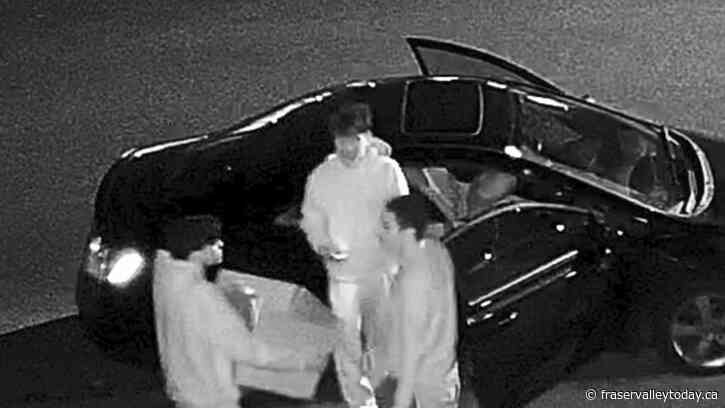 Police looking to ID persons of interest in connection with playground arson