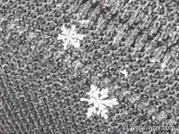 Your snow day photos: Feb. 19-20, 2025