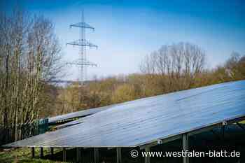 Neuer Solarpark in Jöllenbeck liefert jetzt Strom