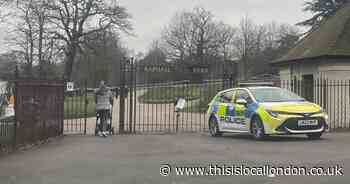 Police update after 'woman raped in Raphael Park'