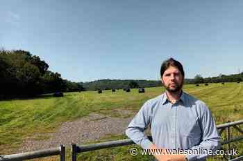 Hundreds of new homes to be built on land next to the M4 in Cardiff