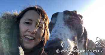 Greyhounds and buses: How Labour persuaded Wales' sole Lib Dem Senedd member to back its budget