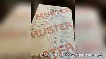 Bundestagswahl in Peine – das haben die neun Direktkandidaten zu sagen