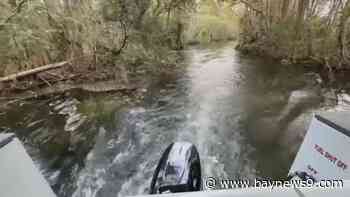 See manatees, ancient cypress forest on historic boat tour