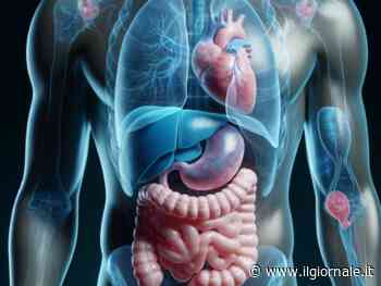 Occhio a questi quattro segni sulla pelle: potrebbero essere spia di problemi al fegato
