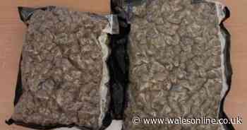 Aspiring nurse had £10,500 in a shoebox. Now her dreams are in tatters