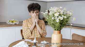 Starker Pollenflug im Februar: 12 Millionen Deutsche sind betroffen – So erkennen Sie eine Allergie