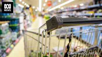 Supermarket push to scrap penalty rates opposed by federal government