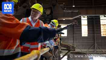 Labor looks to take stake in Whyalla steel, with industry's backing