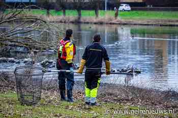 Reddingsactie zieke gans gestaakt
