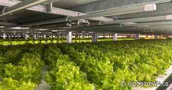 B.C. government to make announcement about food security