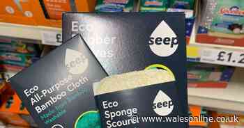 I tried the Dragons' Den cleaning products they threw £50,000 at and have just one thing to say