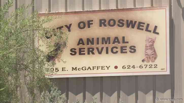 Roswell Animal Services forced to euthanize dogs in their care