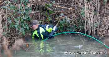 Een beverburcht in je tuin? Het is weer eens wat anders dan een mol in je grasveld