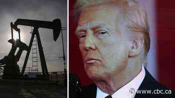 Tariffs could force 'rebalancing away' from U.S. for oil exports, says Cenovus