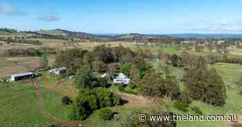 TA Field's blue ribbon New England property Doughboy Mountain on the market